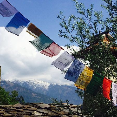 Bros Hostel Manali Zewnętrze zdjęcie