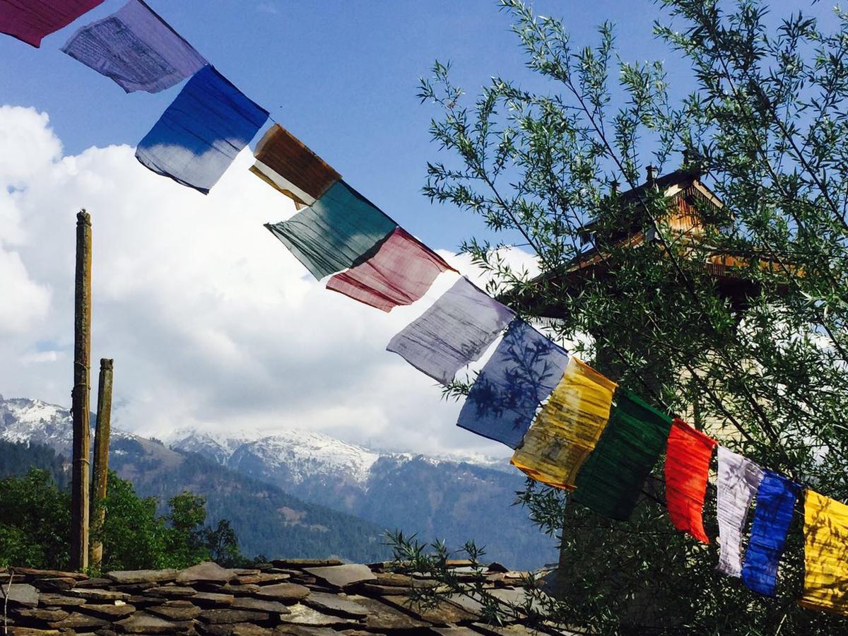 Bros Hostel Manali Zewnętrze zdjęcie